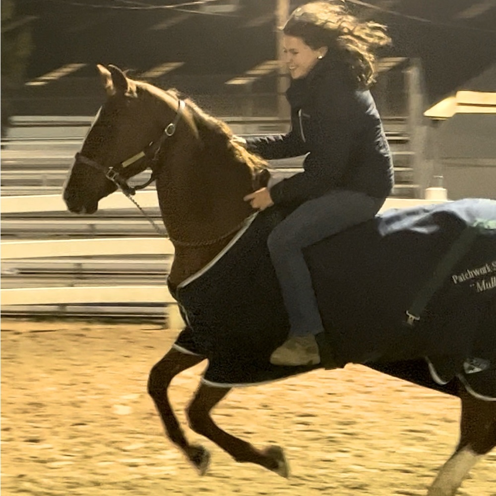 Meet your Posher, Lily